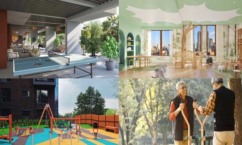 Kids and Senior Citizen Friendly Amenities at Shapoorji Pallonji Treetopia Plots