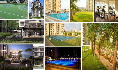 Lifestyle and Recreational Amenities at Shapoorji Pallonji Treetopia Plots